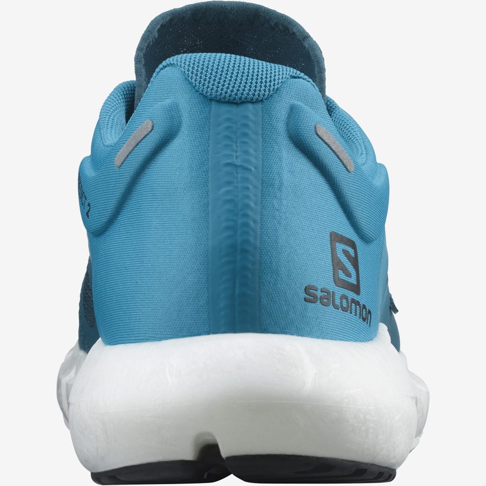 Salomon PREDICT 2 Laufschuhe Herren Blau/Schwarz | ZTF-854062