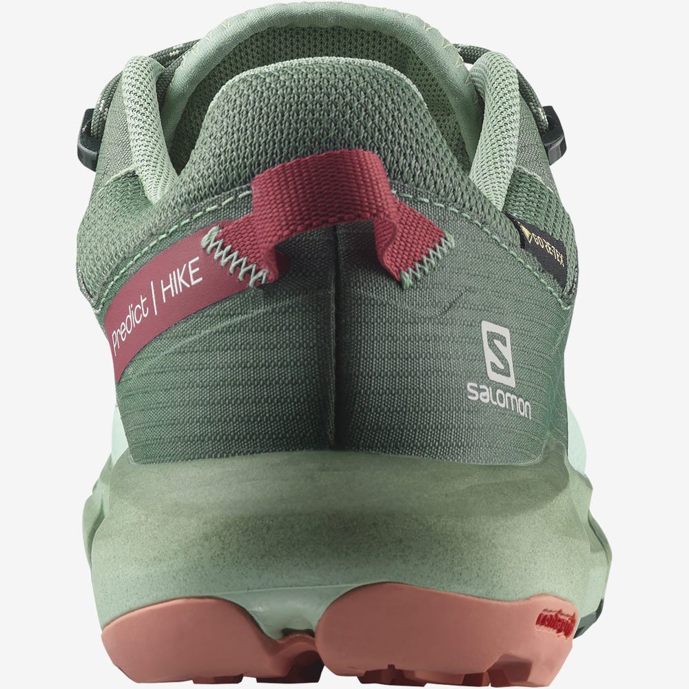 Salomon PREDICT HIKE GORE-TEX Wanderschuhe Damen Grün | HKI-687542