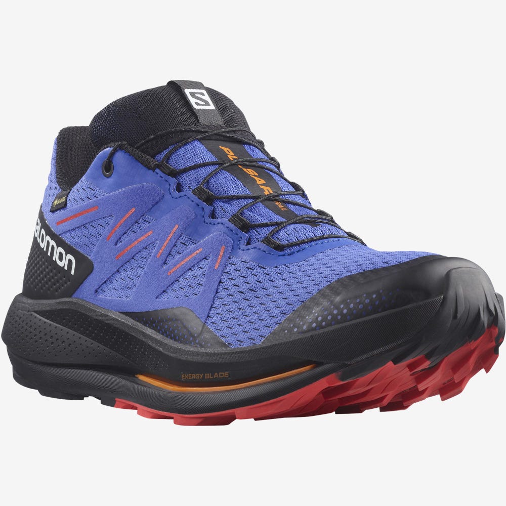 Salomon PULSAR TRAIL GORE-TEX Trailrunning Schuhe Herren Blau/Schwarz/Rot | JWA-396047