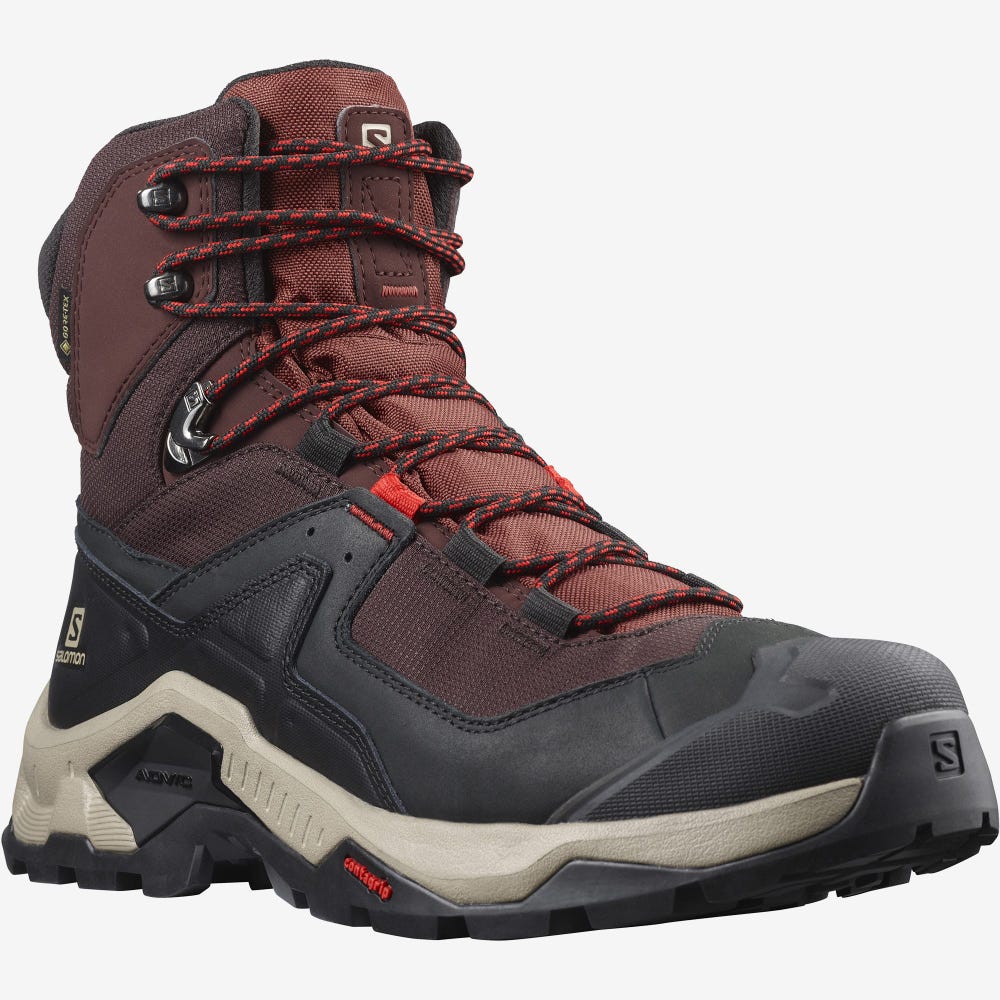 Salomon QUEST ELEMENT GORE-TEX Wanderschuhe Herren Schokolade Lila/Braun | NUA-847362