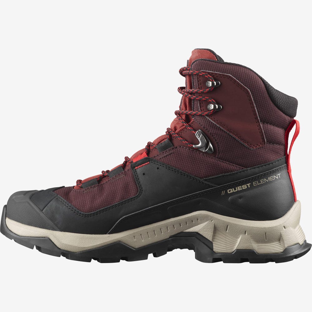 Salomon QUEST ELEMENT GORE-TEX Wanderschuhe Herren Schokolade Lila/Braun | NUA-847362