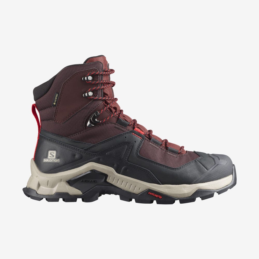 Salomon QUEST ELEMENT GORE-TEX Wanderschuhe Herren Schokolade Lila/Braun | NUA-847362