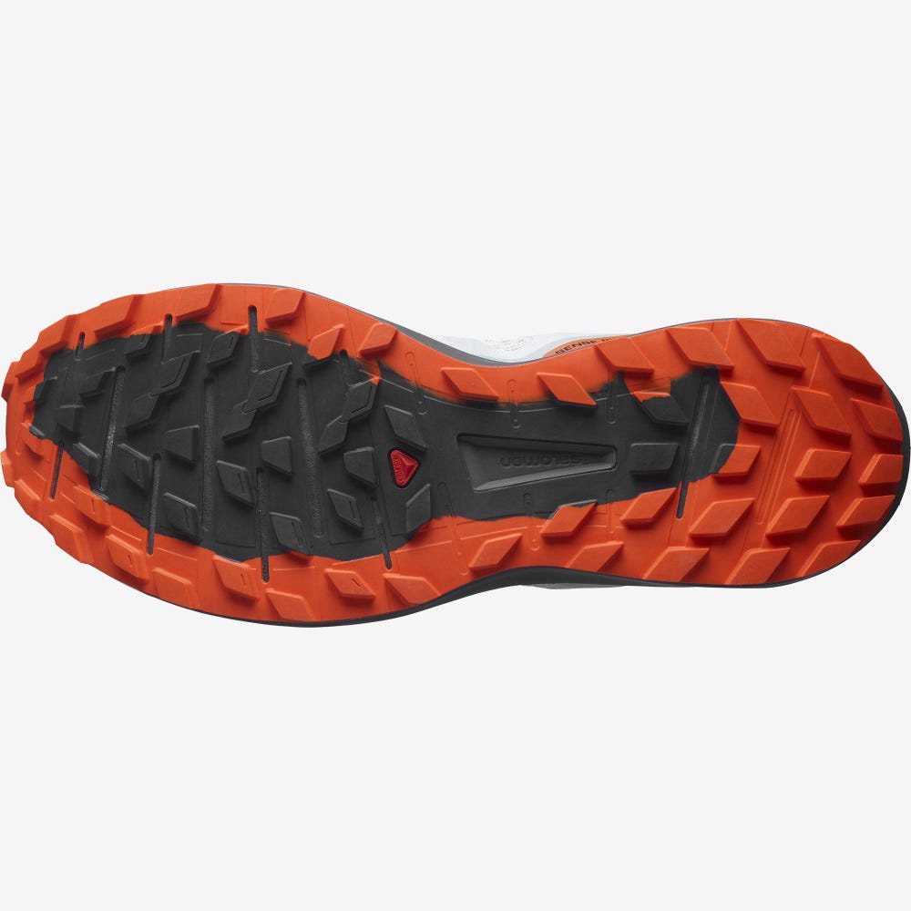 Salomon SENSE RIDE 4 Trailrunning Schuhe Herren Orange | ZAT-731625