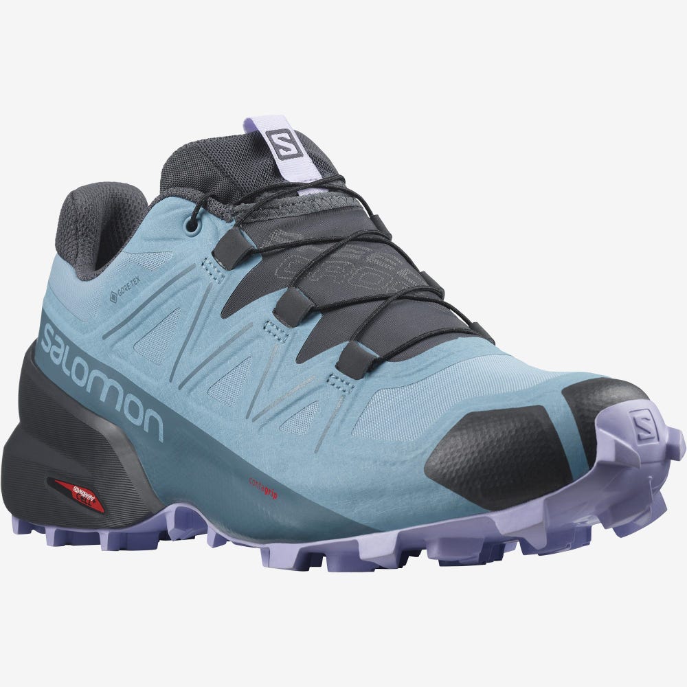 Salomon SPEEDCROSS 5 GORE-TEX Trailrunning Schuhe Damen Blau/Lavendel | BOS-835279