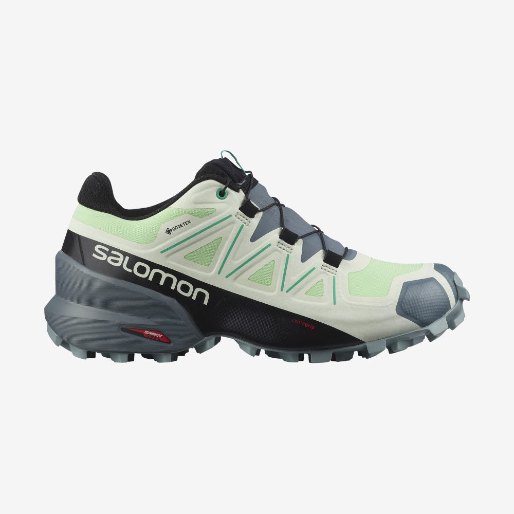 Salomon SPEEDCROSS 5 GORE-TEX Trailrunning Schuhe Damen Grün/PfauenGrün | LUF-168907