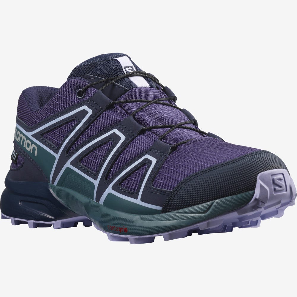 Salomon SPEEDCROSS CLIMASALOMON™ WATERPROOF Trailrunning Schuhe Kinder Lila/Blau/Lavendel | FZM-964037