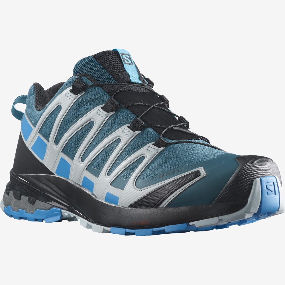 Salomon XA PRO 3D v8 GORE-TEX Trailrunning Schuhe Herren Blau | KEV-265437