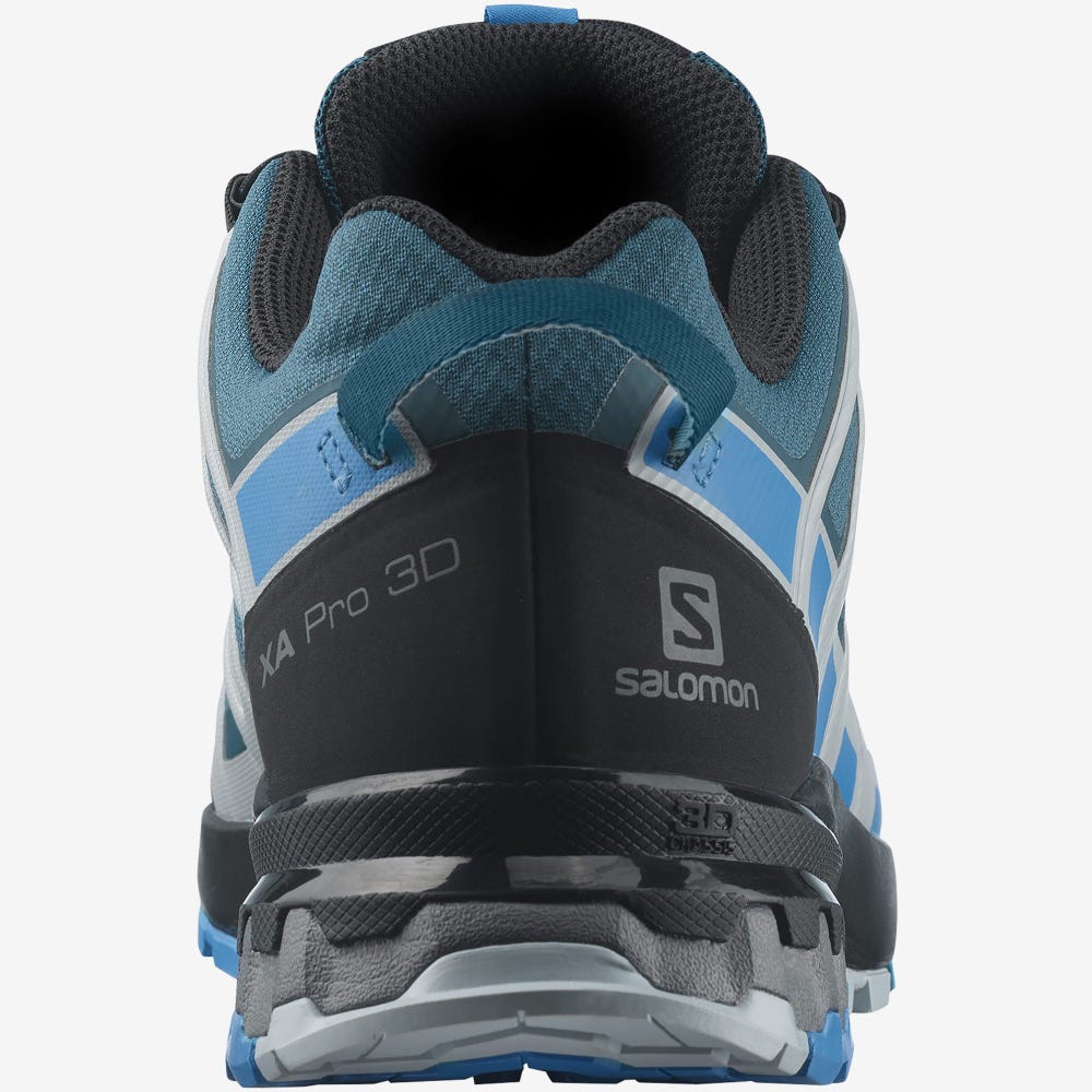 Salomon XA PRO 3D v8 GORE-TEX Trailrunning Schuhe Herren Blau | KEV-265437