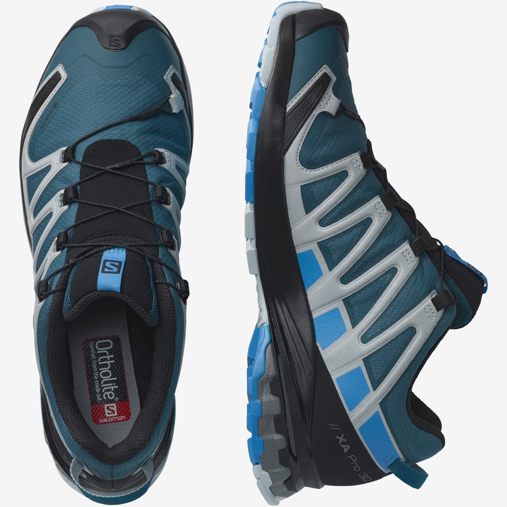 Salomon XA PRO 3D v8 GORE-TEX Trailrunning Schuhe Herren Blau | KEV-265437