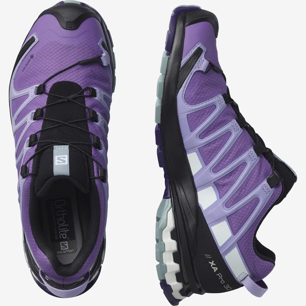 Salomon XA PRO 3D v8 GORE-TEX Trailrunning Schuhe Damen Königsblau Lila/Lavendel | LKE-184379