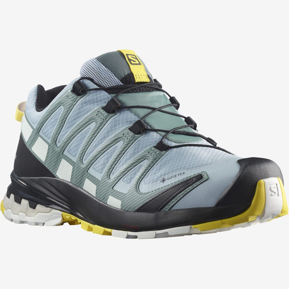 Salomon XA PRO 3D v8 GORE-TEX Trailrunning Schuhe Damen Blau/Weiß | LPI-469387