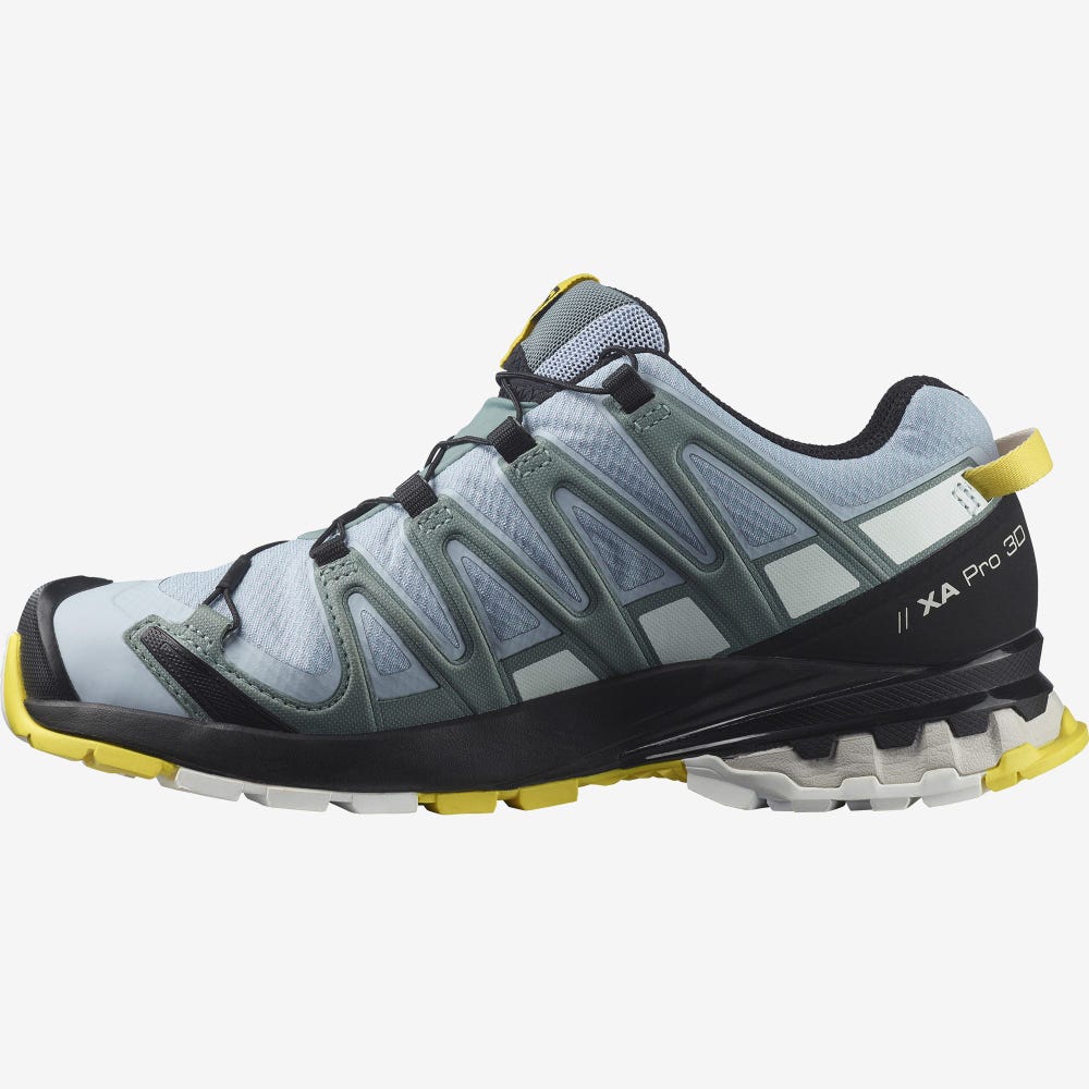 Salomon XA PRO 3D v8 GORE-TEX Trailrunning Schuhe Damen Blau/Weiß | LPI-469387