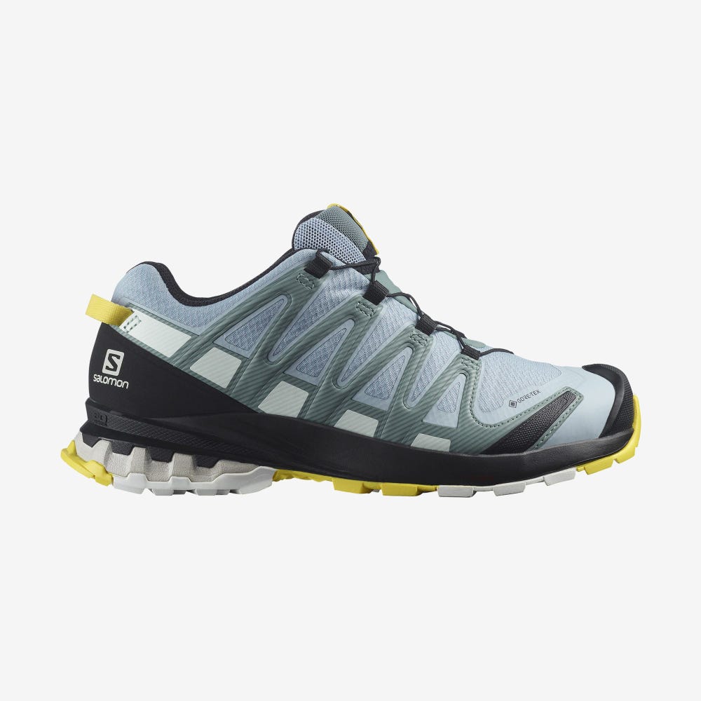 Salomon XA PRO 3D v8 GORE-TEX Trailrunning Schuhe Damen Blau/Weiß | LPI-469387