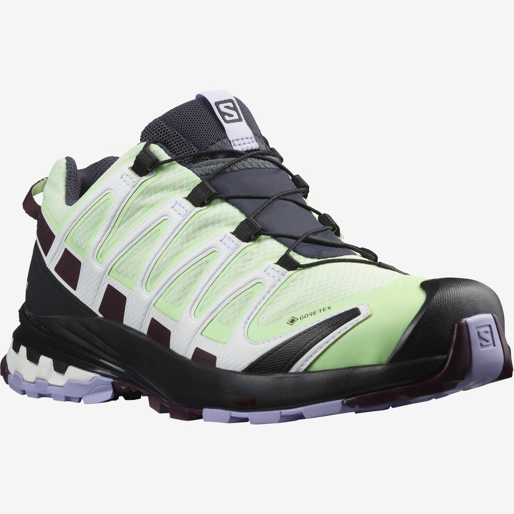 Salomon XA PRO 3D v8 GORE-TEX Trailrunning Schuhe Damen Grün/Lavendel | PNU-705461