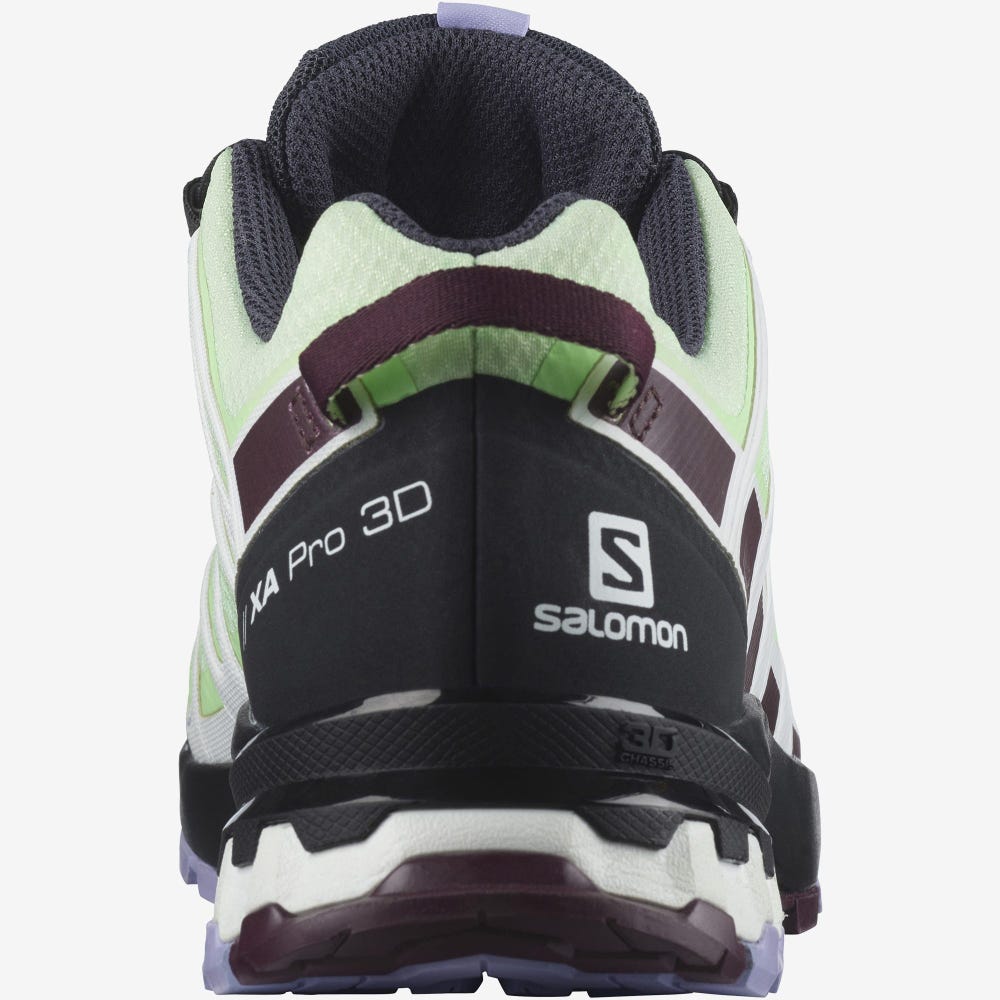 Salomon XA PRO 3D v8 GORE-TEX Trailrunning Schuhe Damen Grün/Lavendel | PNU-705461