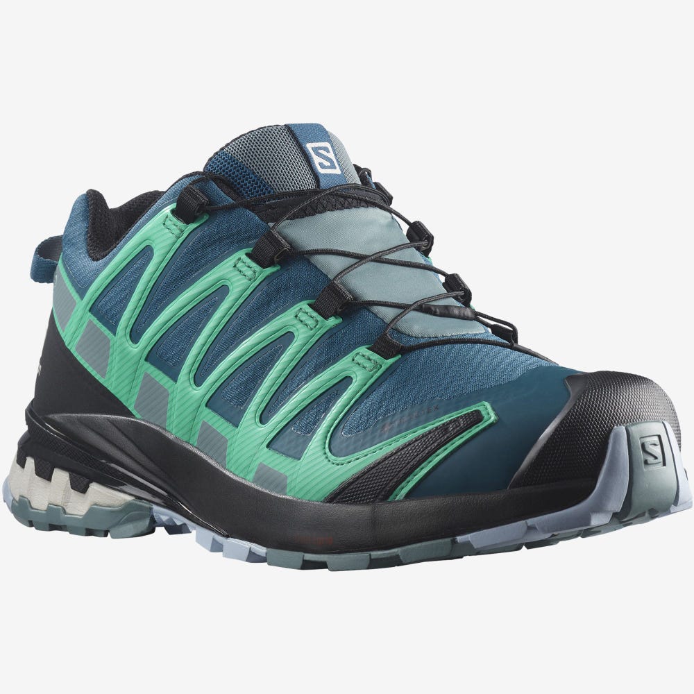 Salomon XA PRO 3D v8 GORE-TEX Trailrunning Schuhe Damen Blau/Mintfarben | SUD-876914