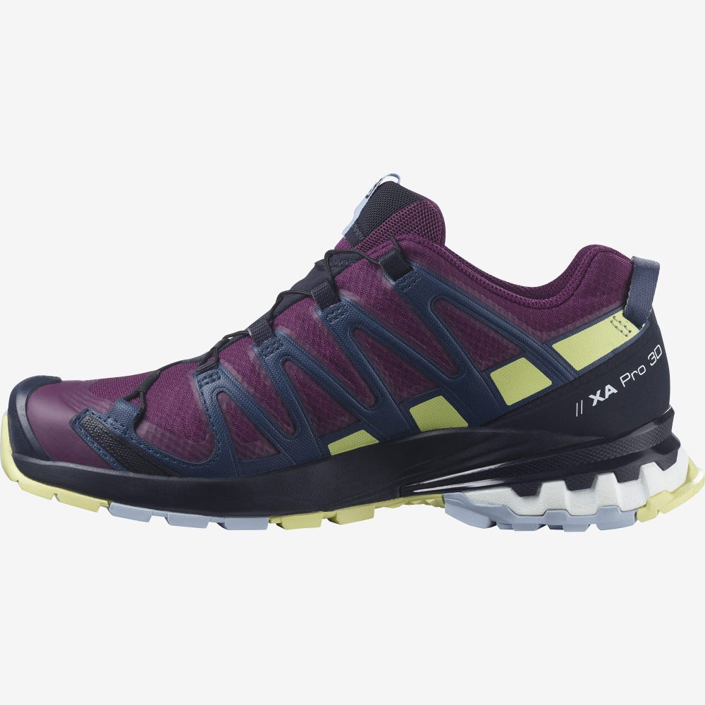 Salomon XA PRO 3D v8 GORE-TEX Trailrunning Schuhe Damen Lila/Blau | THI-841956