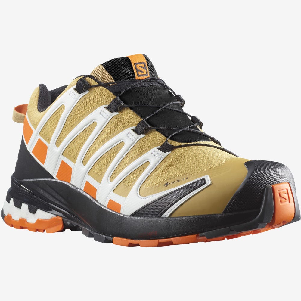 Salomon XA PRO 3D v8 GORE-TEX Trailrunning Schuhe Herren Braun/Orange/Weiß | TPX-926435