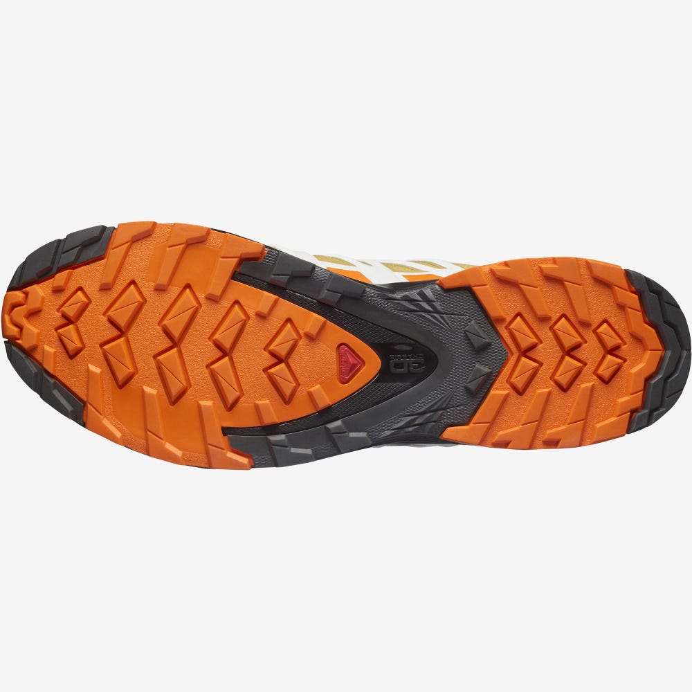 Salomon XA PRO 3D v8 GORE-TEX Trailrunning Schuhe Herren Braun/Orange/Weiß | TPX-926435