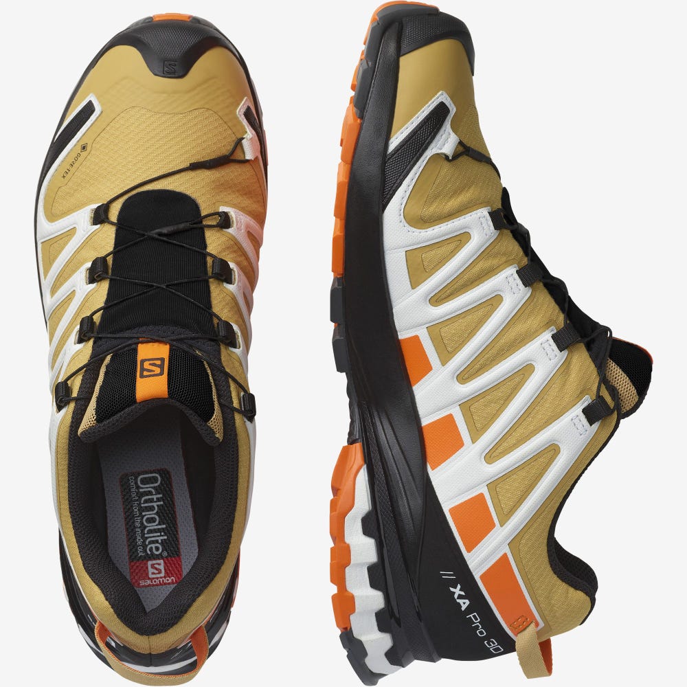 Salomon XA PRO 3D v8 GORE-TEX Trailrunning Schuhe Herren Braun/Orange/Weiß | TPX-926435