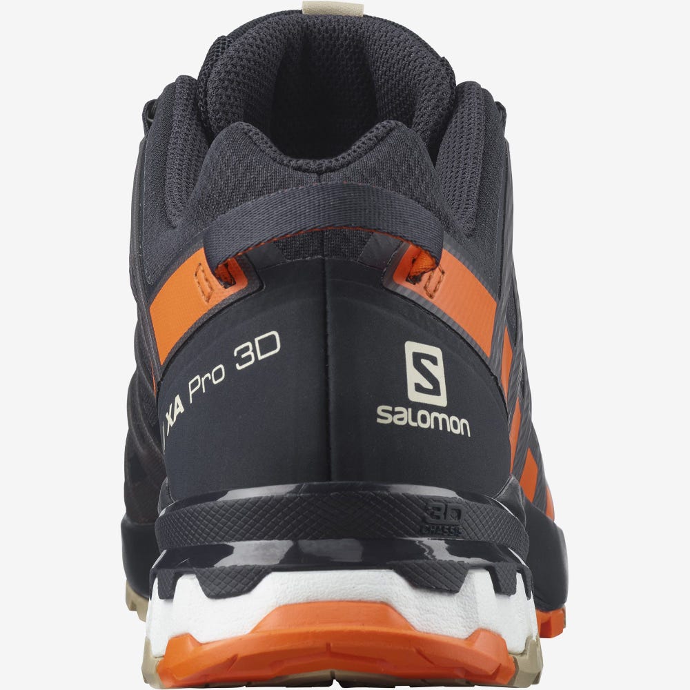 Salomon XA PRO 3D v8 GORE-TEX Trailrunning Schuhe Herren Orange | ZJS-536182