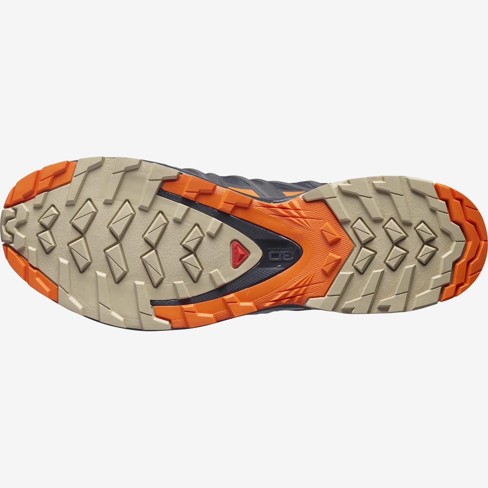 Salomon XA PRO 3D v8 GORE-TEX Trailrunning Schuhe Herren Orange | ZJS-536182