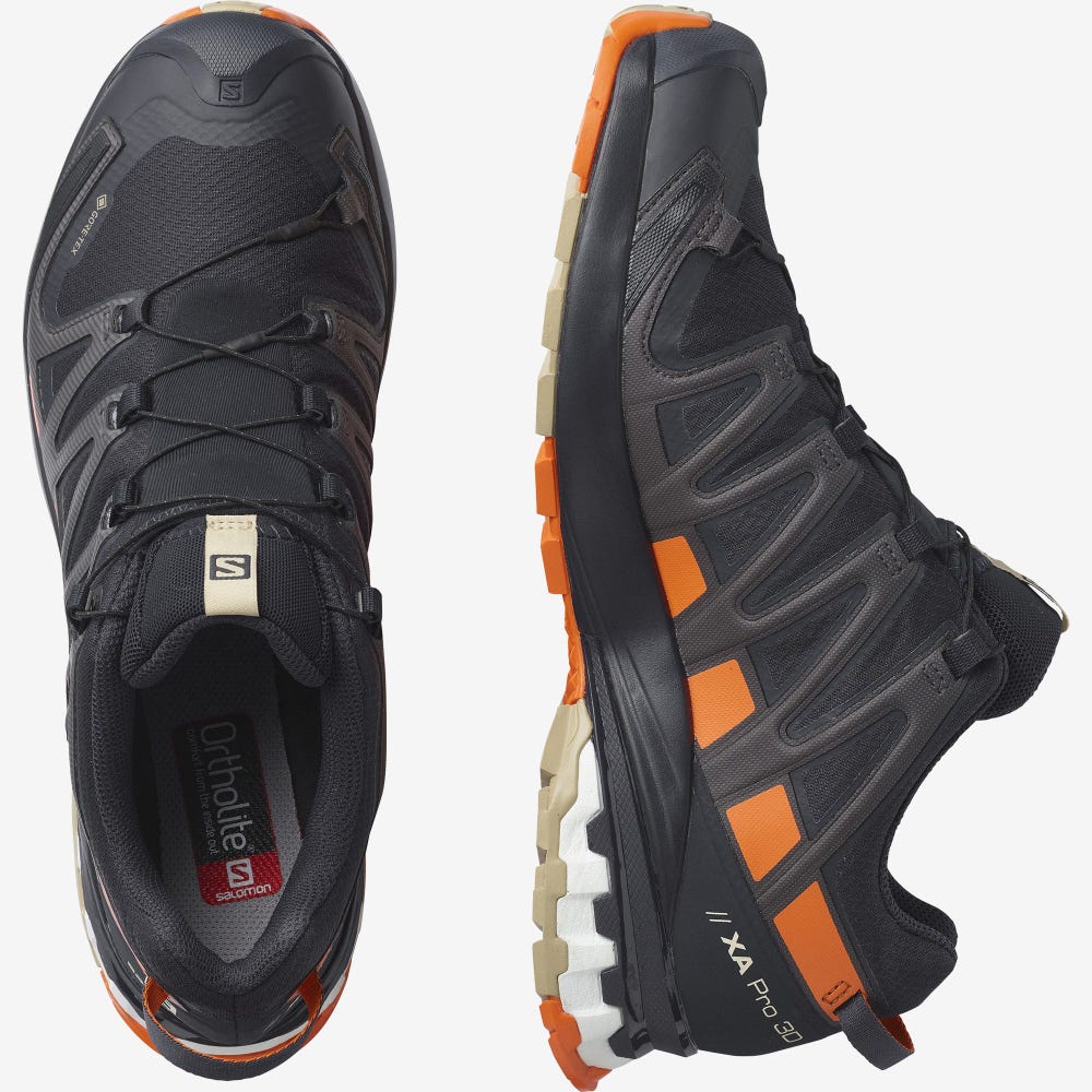 Salomon XA PRO 3D v8 GORE-TEX Trailrunning Schuhe Herren Orange | ZJS-536182