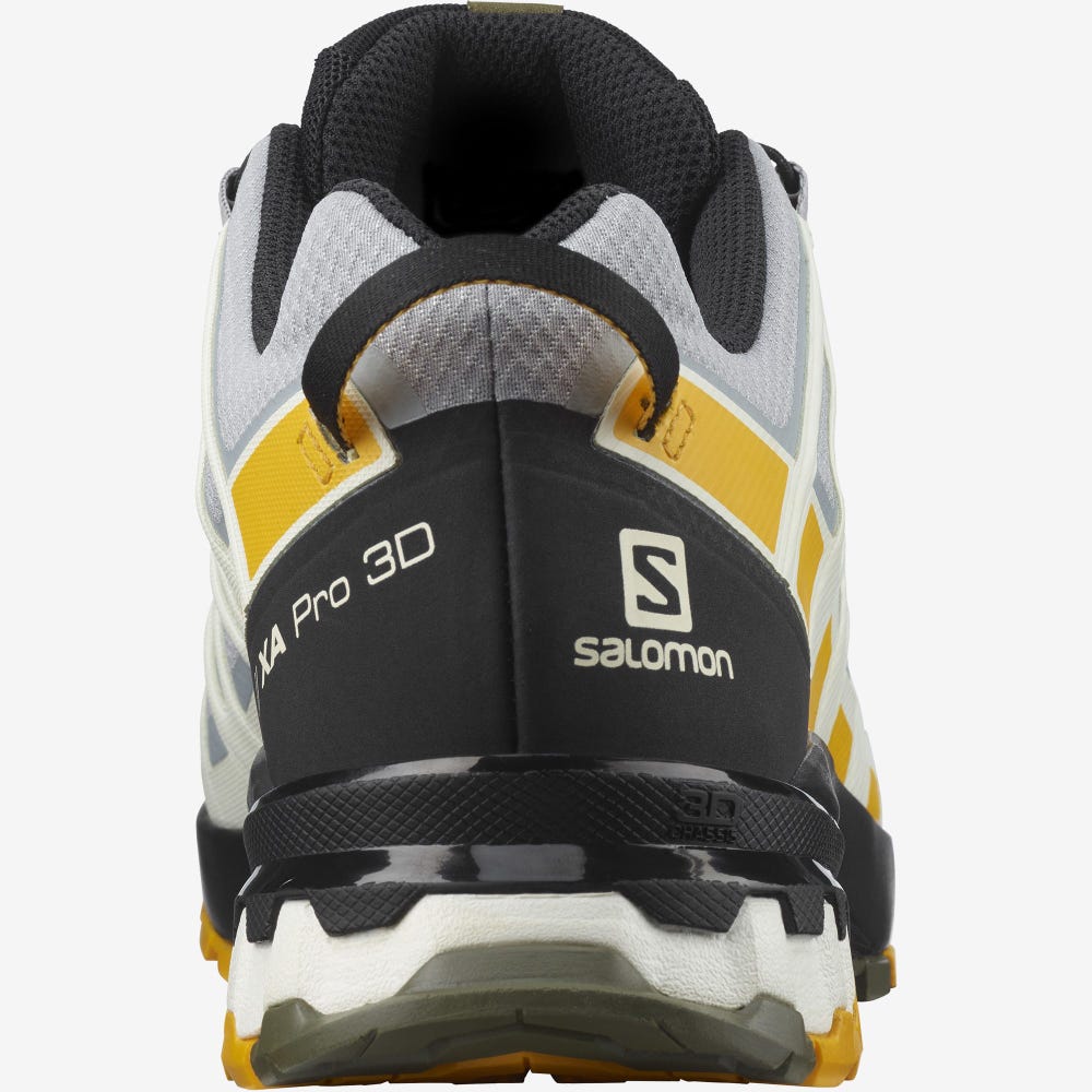 Salomon XA PRO 3D v8 GORE-TEX Wanderschuhe Herren Schwarz | GFW-617539