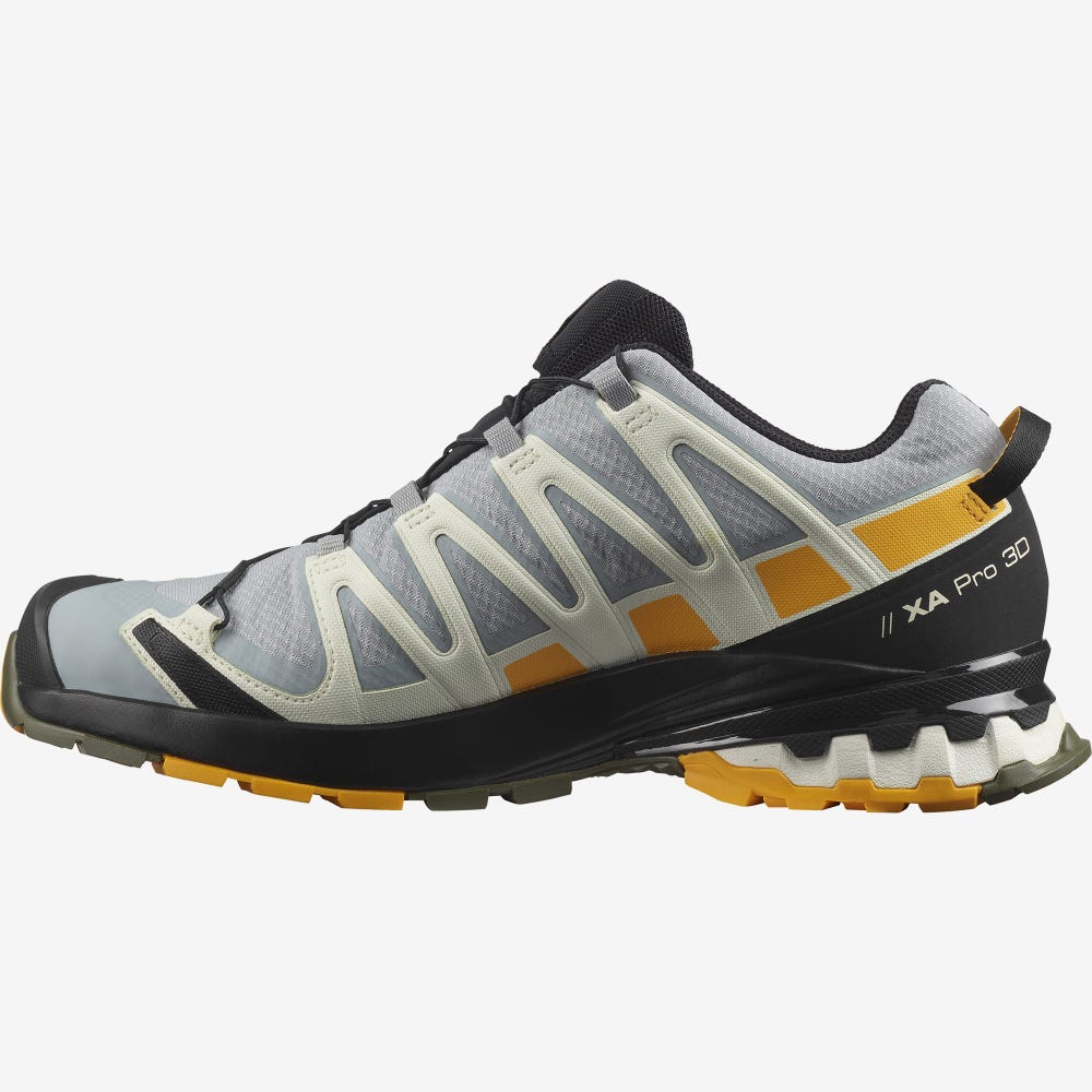 Salomon XA PRO 3D v8 GORE-TEX Wanderschuhe Herren Schwarz | GFW-617539