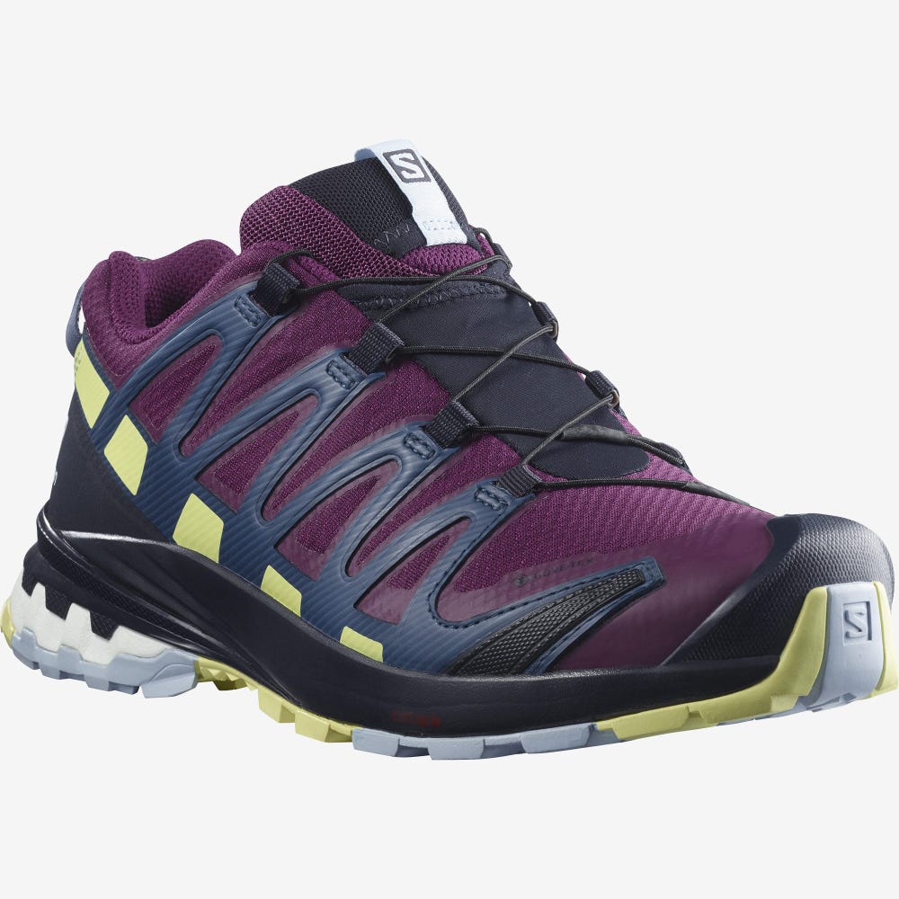 Salomon XA PRO 3D v8 GORE-TEX Wanderschuhe Damen Lila/Blau | GZL-120934