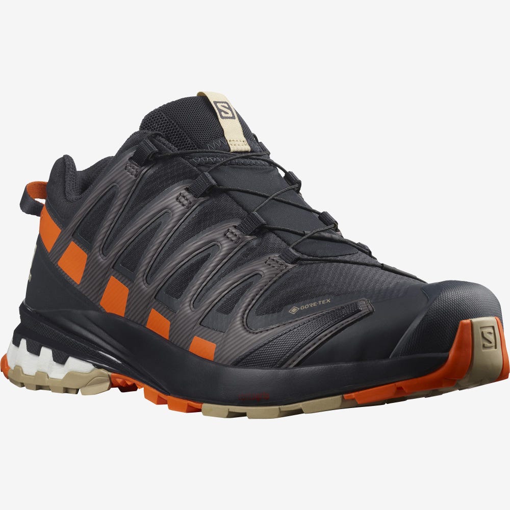 Salomon XA PRO 3D v8 GORE-TEX Wanderschuhe Herren Orange | LHK-678250