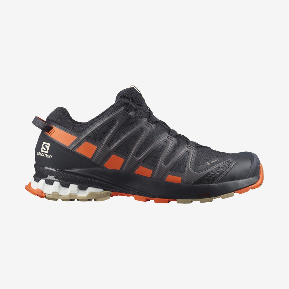 Salomon XA PRO 3D v8 GORE-TEX Wanderschuhe Herren Orange | LHK-678250