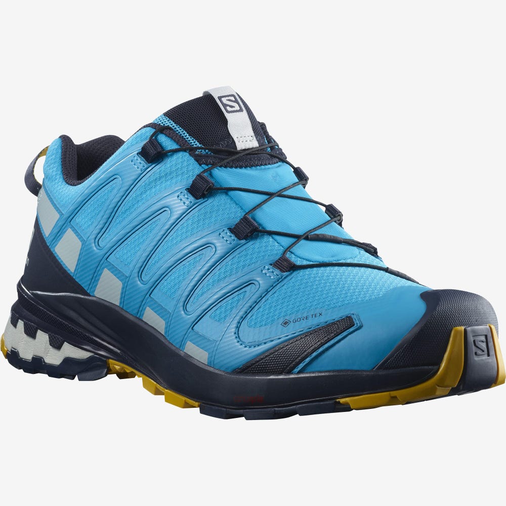 Salomon XA PRO 3D v8 GORE-TEX Wanderschuhe Herren Blau | ODQ-961584