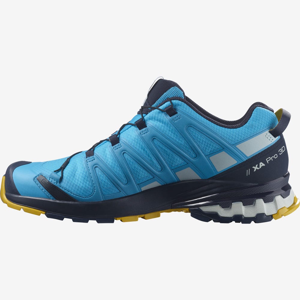 Salomon XA PRO 3D v8 GORE-TEX Wanderschuhe Herren Blau | ODQ-961584