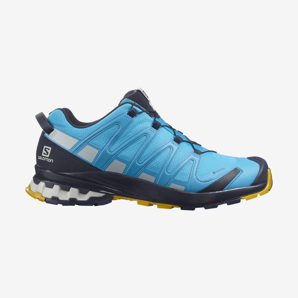 Salomon XA PRO 3D v8 GORE-TEX Wanderschuhe Herren Blau | ODQ-961584