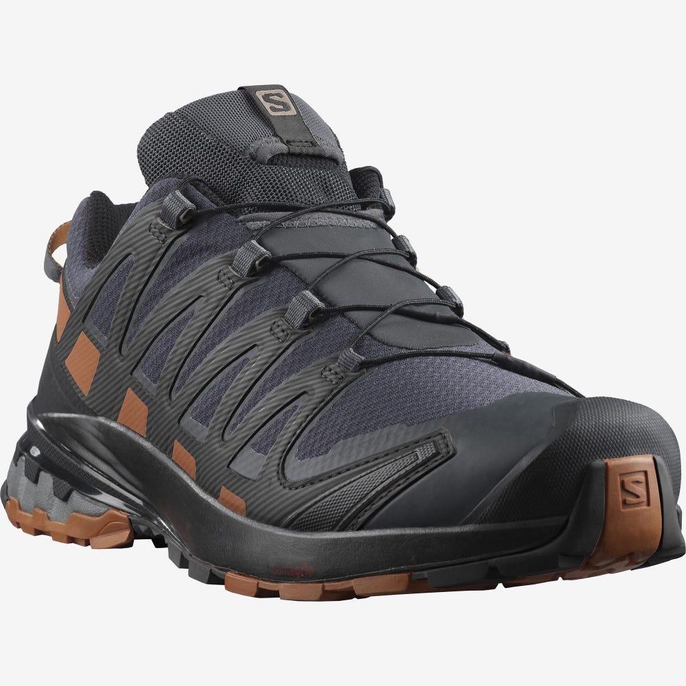 Salomon XA PRO 3D v8 GORE-TEX Wanderschuhe Herren Grau/Schwarz | OQC-142893