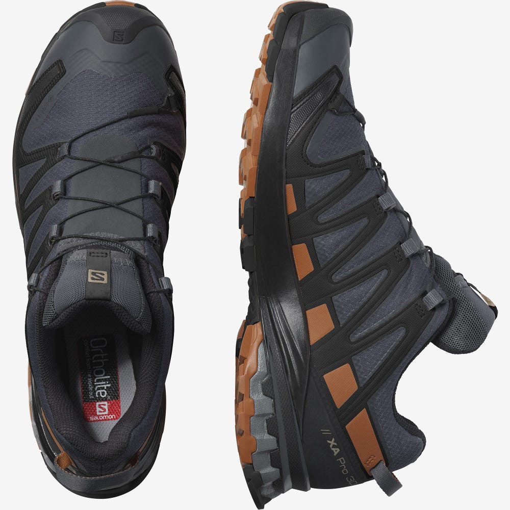 Salomon XA PRO 3D v8 GORE-TEX Wanderschuhe Herren Grau/Schwarz | OQC-142893