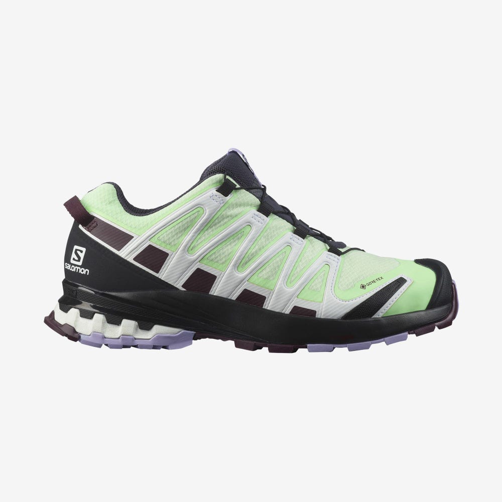 Salomon XA PRO 3D v8 GORE-TEX Wanderschuhe Damen Grün/Lavendel | XWD-475139