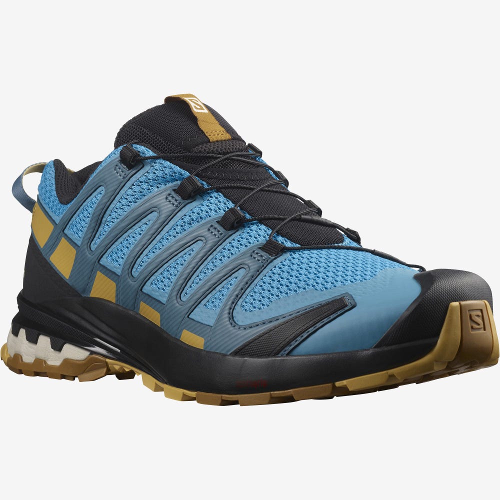 Salomon XA PRO 3D v8 Trailrunning Schuhe Herren Blau/Braun | GAC-105894