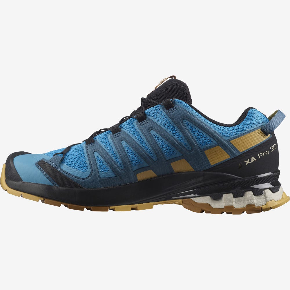 Salomon XA PRO 3D v8 Trailrunning Schuhe Herren Blau/Braun | GAC-105894