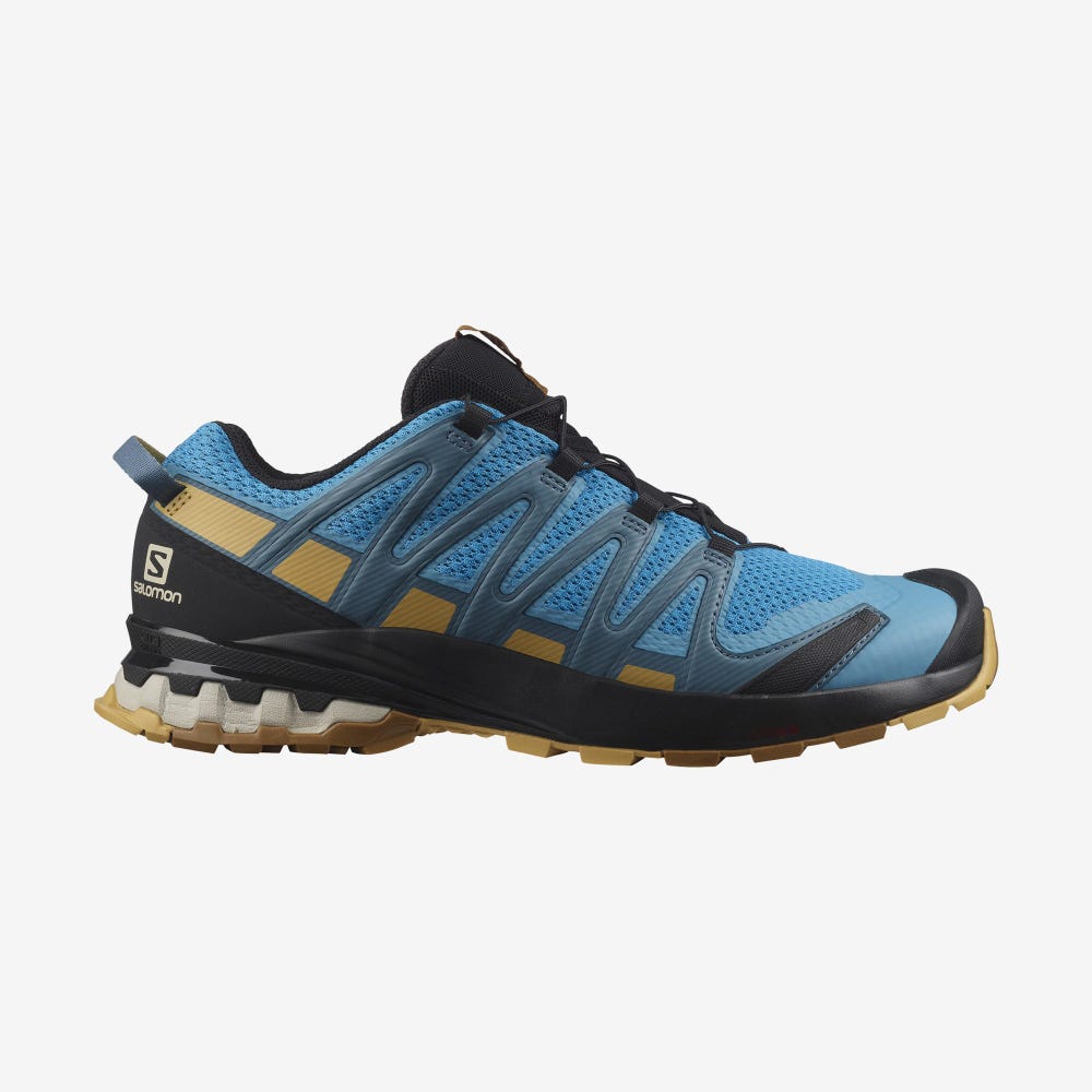 Salomon XA PRO 3D v8 Trailrunning Schuhe Herren Blau/Braun | GAC-105894