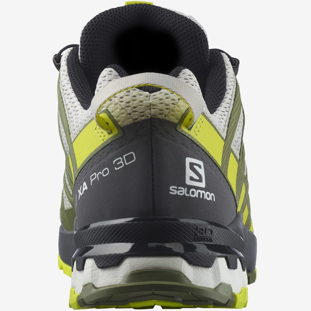 Salomon XA PRO 3D v8 Trailrunning Schuhe Herren Grau/Grün | JIH-861257