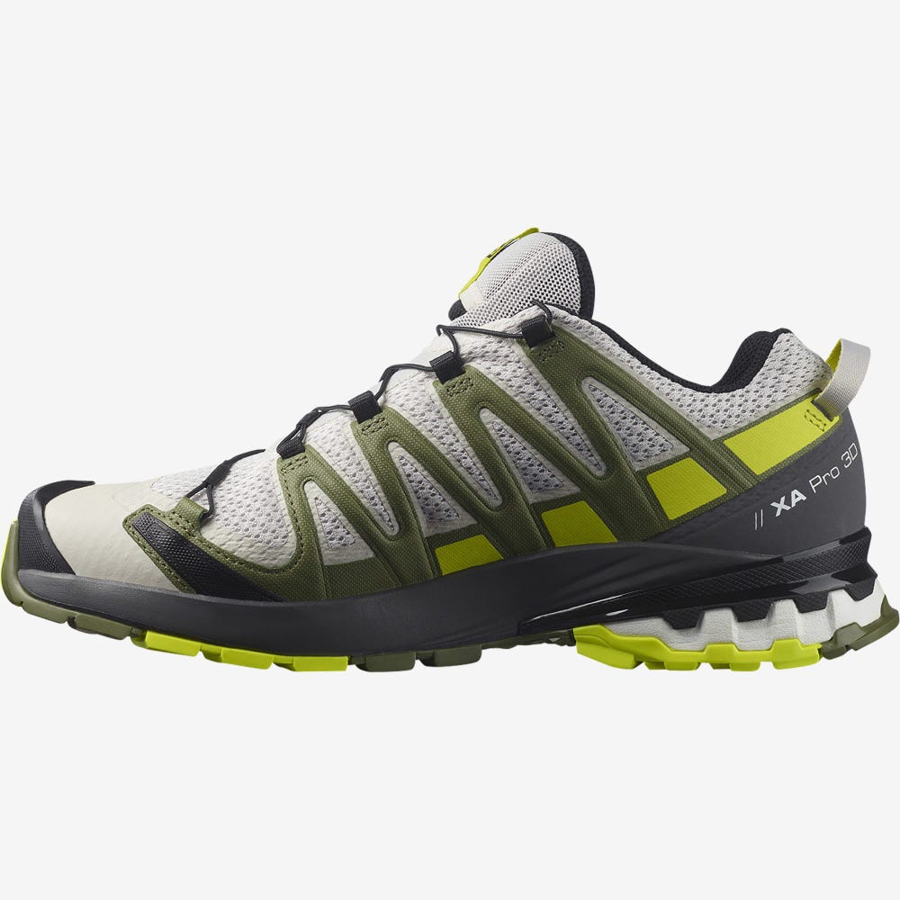 Salomon XA PRO 3D v8 Trailrunning Schuhe Herren Grau/Grün | JIH-861257