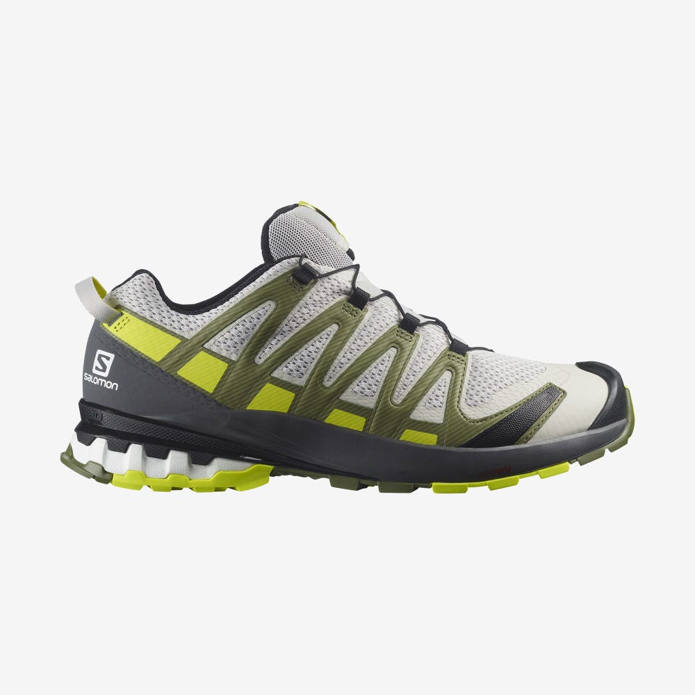 Salomon XA PRO 3D v8 Trailrunning Schuhe Herren Grau/Grün | JIH-861257