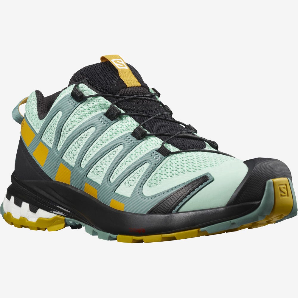 Salomon XA PRO 3D v8 Trailrunning Schuhe Damen Grün | TYV-372901