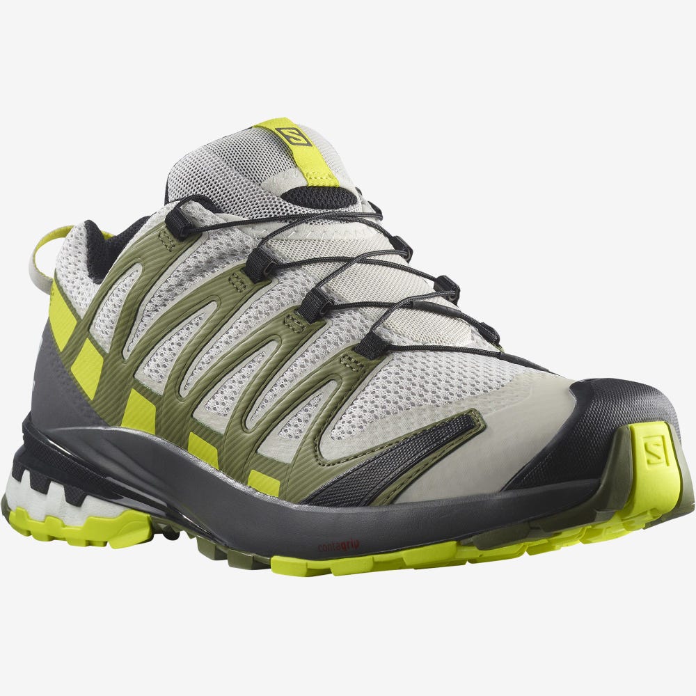 Salomon XA PRO 3D v8 Wanderschuhe Herren Grau/Grün | KLA-043791