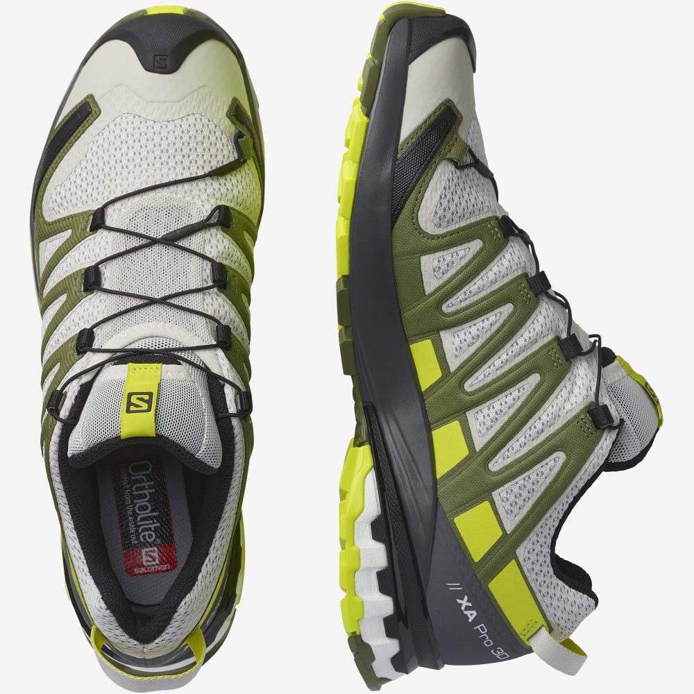 Salomon XA PRO 3D v8 Wanderschuhe Herren Grau/Grün | KLA-043791