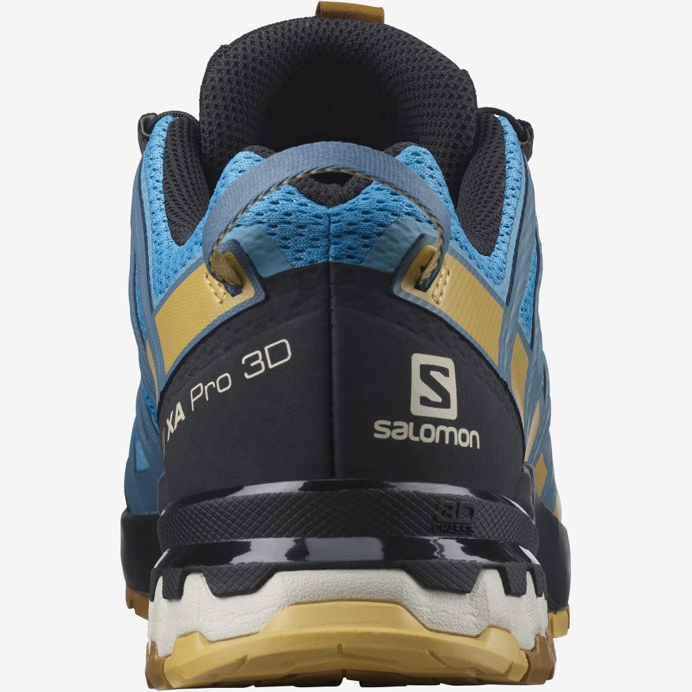 Salomon XA PRO 3D v8 Wanderschuhe Herren Blau/Braun | LWM-546728