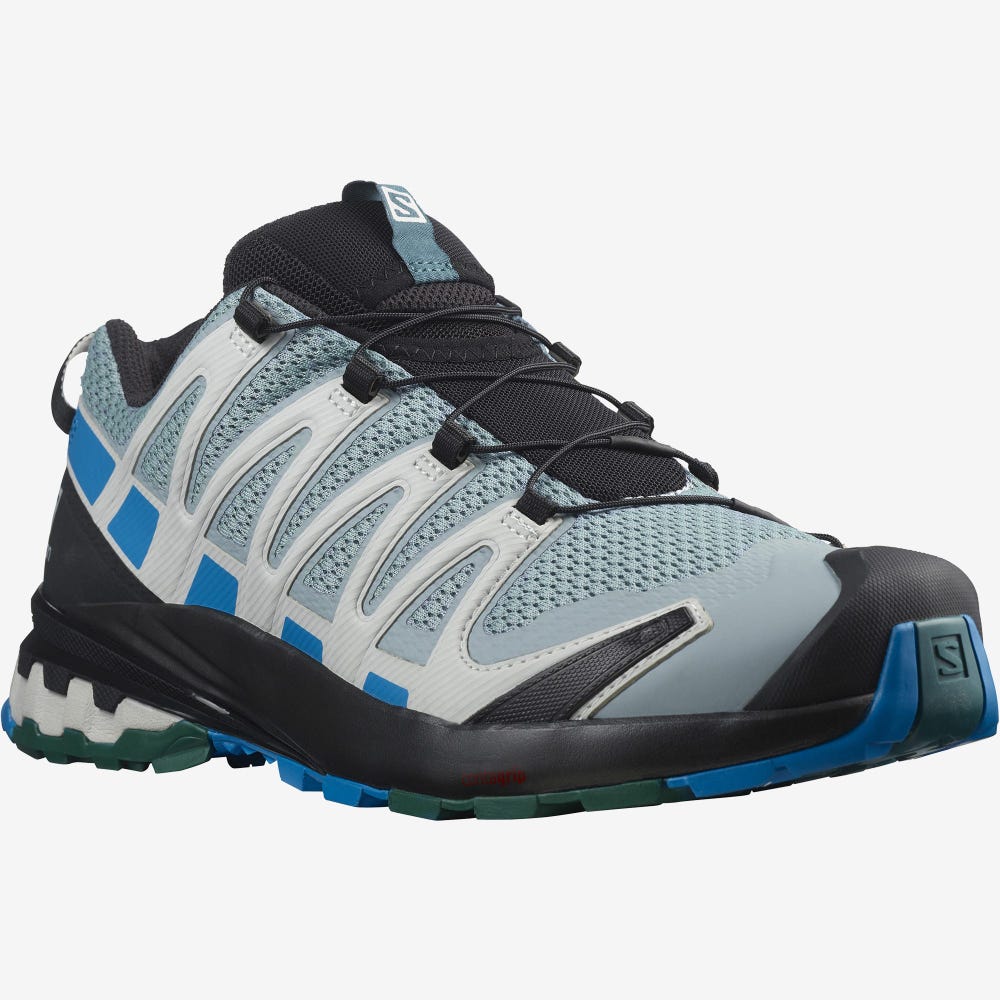 Salomon XA PRO 3D v8 Wanderschuhe Herren Grün/Blau | QMT-571096