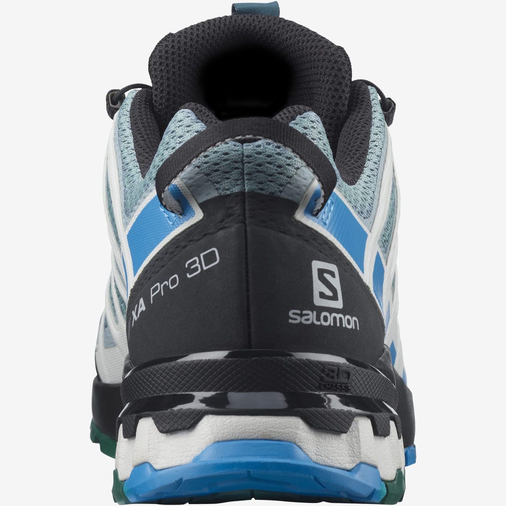 Salomon XA PRO 3D v8 Wanderschuhe Herren Grün/Blau | QMT-571096